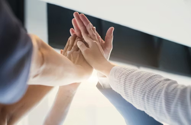 خدمة العملاء المهنية